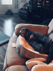 Dog Stretching GIF - Dog Stretching Mornin GIFs
