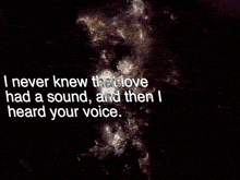 a quote that says i never knew that love had a sound