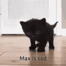Max Is Sad GIF - Max Is Sad GIFs