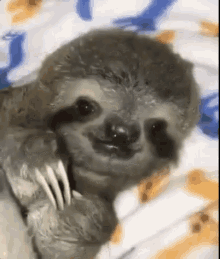 Bateu Aquela Preguicinha / Bicho Preguiça / Cama / Sono GIF - Sloth Listening Laziness GIFs