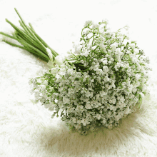 Whitelittleflower GIF - Whitelittleflower GIFs