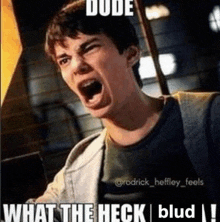a man is making a funny face with his mouth open and the words `` dude what the heck blud '' .