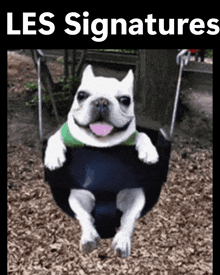 a picture of a dog on a swing with the words " les signatures " below it