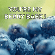 Blueberries Blueberry GIF - Blueberries Blueberry Fruits GIFs
