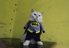 Catman Batman GIF - Catman Batman Marvel GIFs