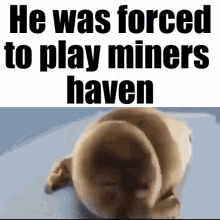 Miners Haven GIF