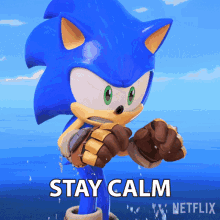 Stay Calm Sonic The Hedgehog GIF - Stay Calm Sonic The Hedgehog Sonic Prime GIFs