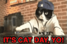National Cat Day GIF - National Cat Day Catday Yo GIFs