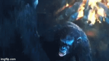 planet-of-the-apes-koba.gif