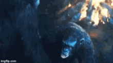 Planet Of The Apes Koba GIF - Planet Of The Apes Koba Sorry GIFs