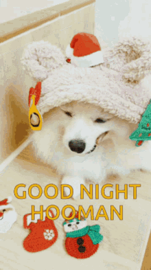 Good Night Good Night Hooman GIF - Good Night Good Night Hooman Jood Night GIFs