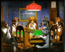 Cartes Dogs GIF - Cartes Dogs Cardgame GIFs