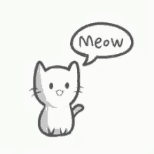 Meow Kitty GIF - Meow Kitty GIFs