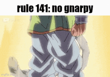 Rule 141 No GIF - Rule 141 No Gnarpy GIFs