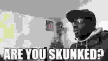 Are You Skunked Skunked GIF - Are You Skunked Skunked Samicc Skunked GIFs