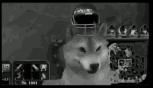 a dog wearing a football helmet is in a black and white video game