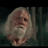 a man with long hair and a beard is looking at the camera .