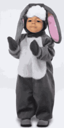Funny Bunny GIF - Funny Bunny Snapchat Filter GIFs