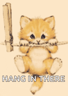 a cat is hanging on a clothes line with the words hang in there above it .