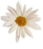 Fleur Flower Sticker