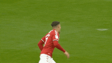 a soccer player with the number 7 on their jersey