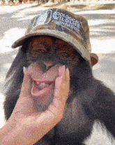 GIF