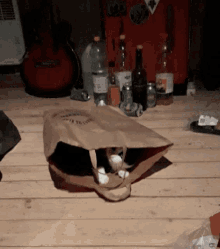 Cat In A Bag Cat In Bag GIF - Cat In A Bag Cat In Bag Silly Kitty GIFs