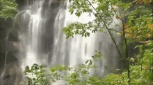 Yoga Moment GIF - Waterfall Mother Nature Forest GIFs