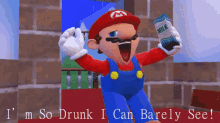 Smg4 Mario GIF - Smg4 Mario Im So Drunk I Can Barely See GIFs