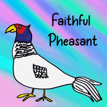 faithful pheasant veefriends loyal devoted faithful