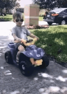 They See Me Rollin Cute GIF - They See Me Rollin Cute Cool GIFs