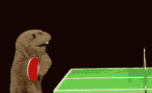 a stuffed animal is playing ping pong on a green table