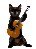 a black cat is holding a guitar in its paws on a white background