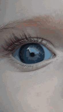 Eyes Different Shades GIF - Eyes Different Shades Different Colors GIFs