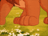 a close up of a lion 's paws in a field