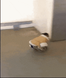 a dog is crawling on the floor with a blanket around its neck