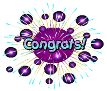 congrats congrats gif animated congrats stickers