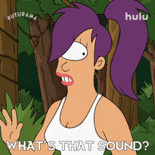 what%27s that sound turanga leela futurama what is the source of that noise what%27s that noise