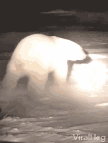 Chase Off Scare GIF - Chase Off Scare Running Away GIFs