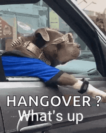 Whats Up Dog GIF - Whats Up Dog GIFs