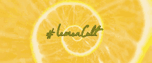 aidan lemon gallagher cult lemoncult