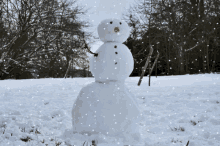 Malan Snowman GIF - Malan Snowman Nunthorpe GIFs
