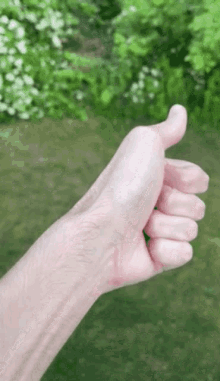 Long Thumb Thumbs Up GIF - Long Thumb Thumbs Up GIFs