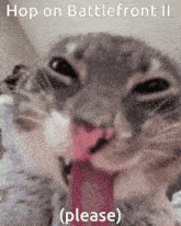 a close up of a cat with its tongue out and the words hop on battlefront ii please
