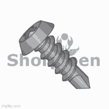 mechanical anchor screw and bolt