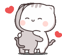 Cute Cat Sticker - Cute Cat Hug Stickers