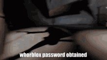 Whorblox Password Obtained GIF - Whorblox Password Obtained GIFs