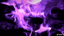 Fire Purple GIF - Fire Purple Fireplace GIFs