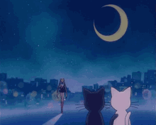 Sailor Moon Luna GIF - Sailor Moon Luna Artemis GIFs