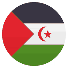 western shara flags joypixels flag of western shara sahrawi flag